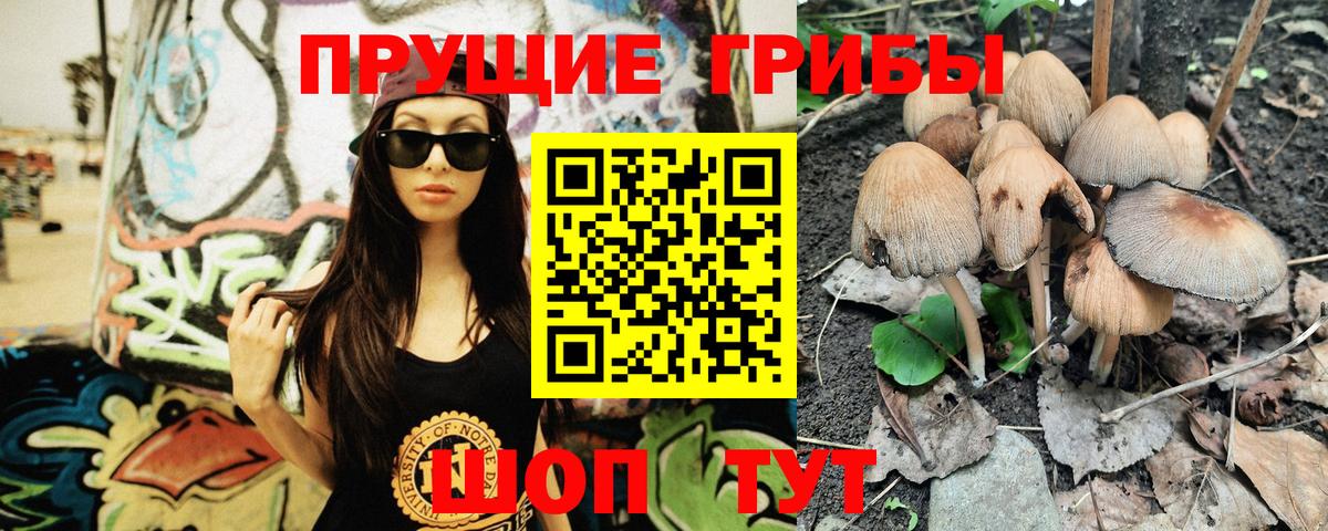 Галлюциногенные грибы Psilocybine cubensis Семилуки